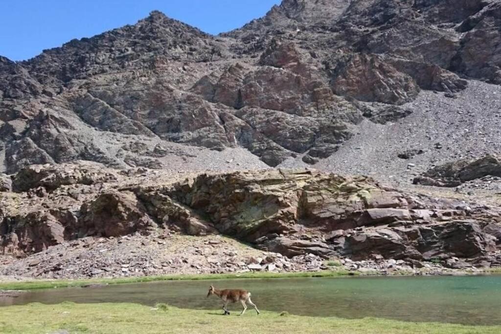 Villa Casa La Solea. Vistas Al Pueblo Y La Sierra Bubión Exterior foto